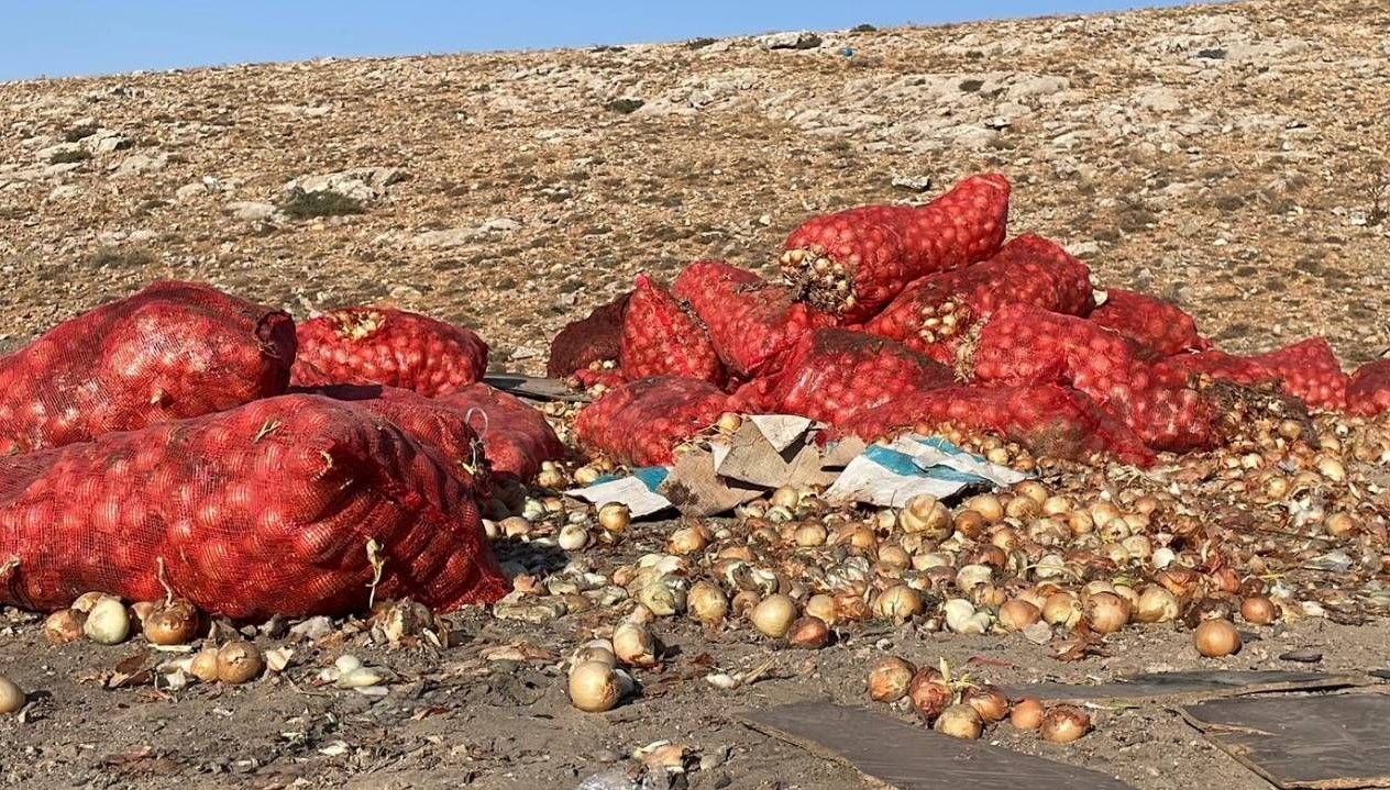 bos araziye tonlarca sogan dokuldu fAuNJWpO