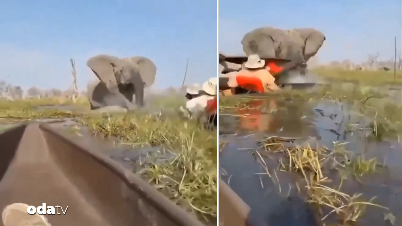 fil saldirisi kameraya yansidi WQz2fD9w