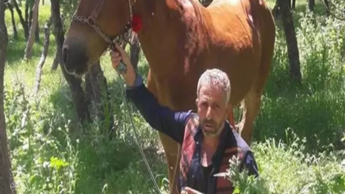 diyarbakirda babasini olduren saniga 15 yil verildi Tsxl9lNX.jpg