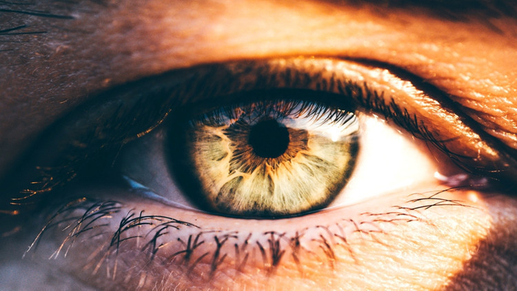 İnsan gözü 4K televizyona ihtiyaç duymuyormuş