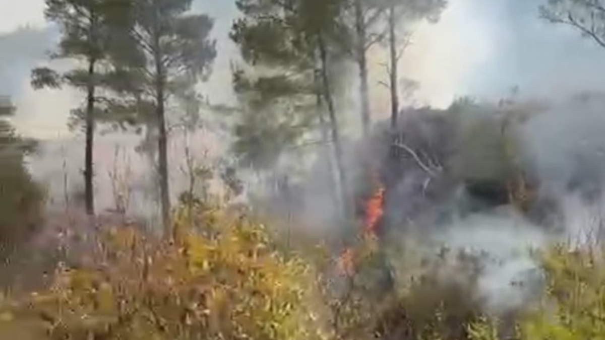 Mersin’de temizlik için ateş yaktığı bahçede alevlerin arasında kaldı: Yanarak can verdi