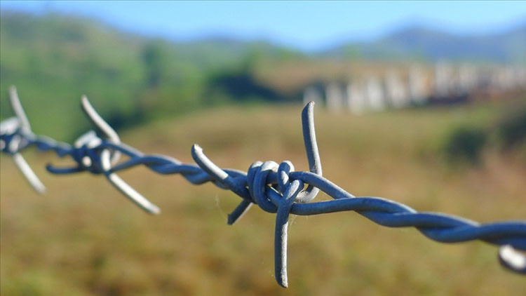 Sınırda mahsur kalmışlardı: Türkiye’nin desteğiyle kurtuldular
