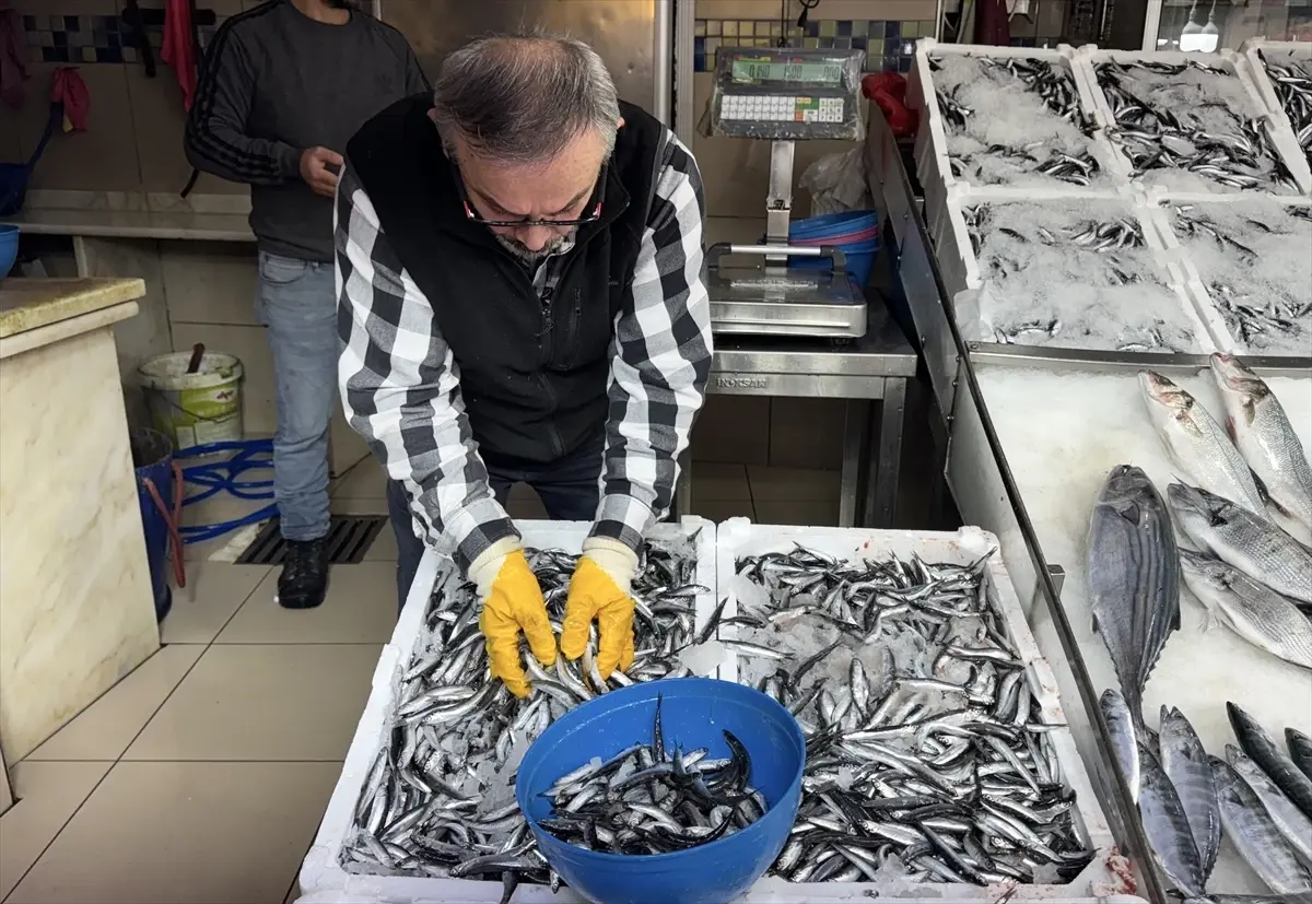 sinopta hamsi fiyatlari dustu rjTfN3JT.jpg