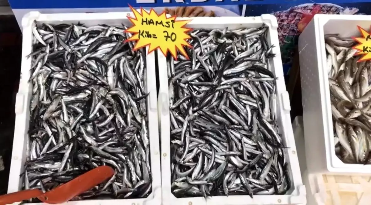 taze balik tuketin uyarisi dQqOyBNP.jpg