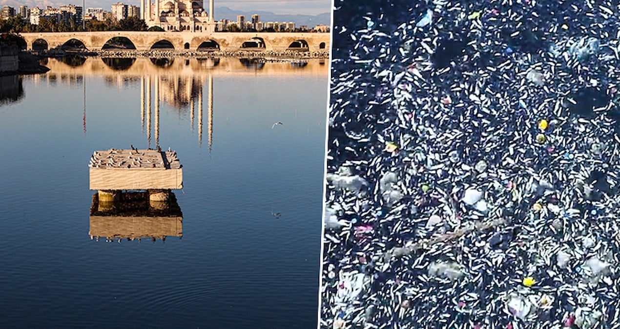 Seyhan Nehri can çekişiyor: Balık ölümleri endişelendirdi