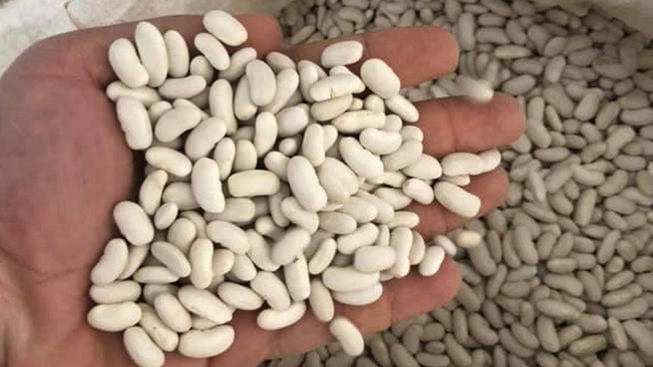 Nevşehir’de 22 Ton Kuru Fasulye Üreticilere Dağıtıldı