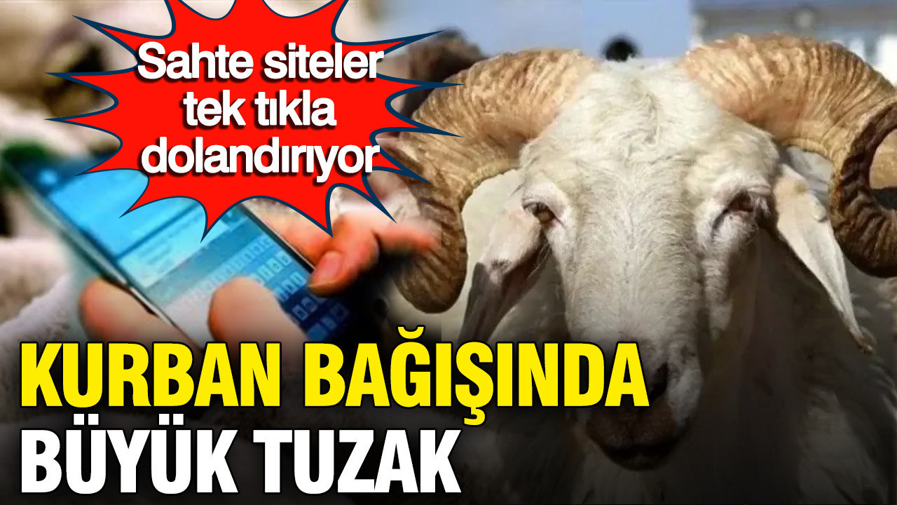 Kurban Bağışları İçin Dikkat: Sahte Siteler Dolandırıcılık Yapıyor