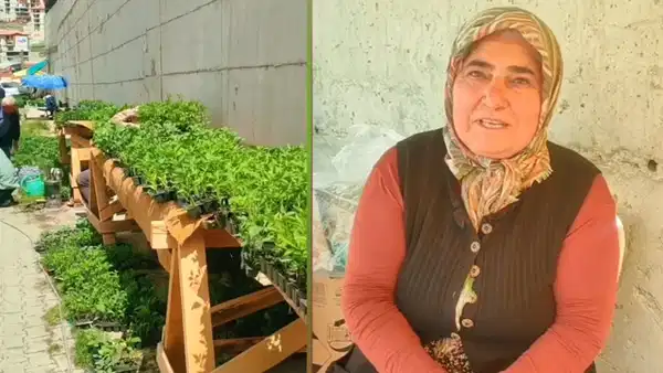artvin-yusufelinde-fide-satisina-kisitlama-ureticilerden-tepki-dhaRHzJn