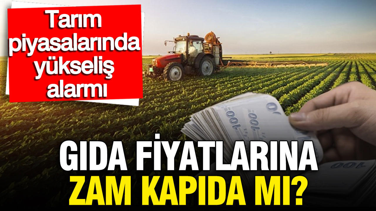 El Niño Etkisiyle Gıda Fiyatlarında Yükseliş Beklentisi: Tarım Piyasalarında Zam Alarmı