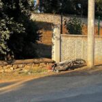 Askerden yeni donmustu 21 yasindaki genc kazada oldu BPDf4HL2