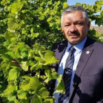 Findik ureticisine erken hasat uyarisi UhZdCTVT